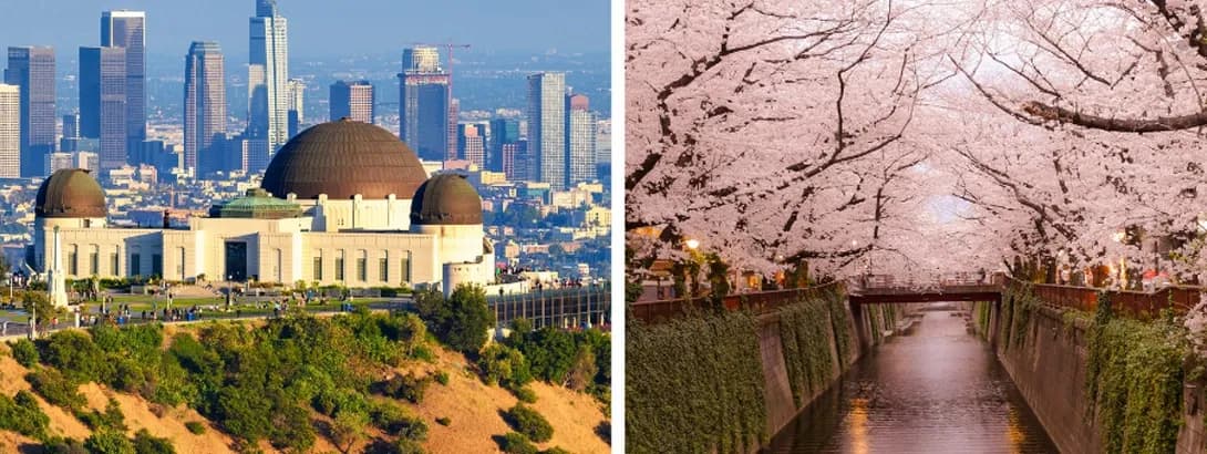 From Echo Park to Edo: My Reward Flight-Fuelled Journey from LA to Japan