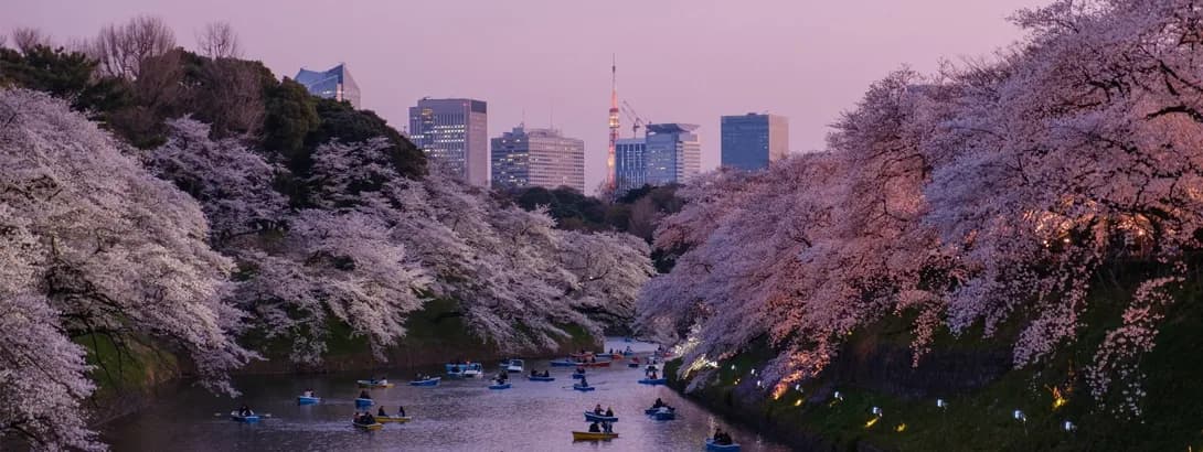 Tokyo and Hong Kong are back - what makes them so great?