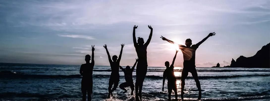 How to use a Companion Voucher as a family